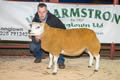 Lot 61